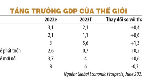 Tăng trưởng sáu tháng cuối năm Dựa vào nội lực