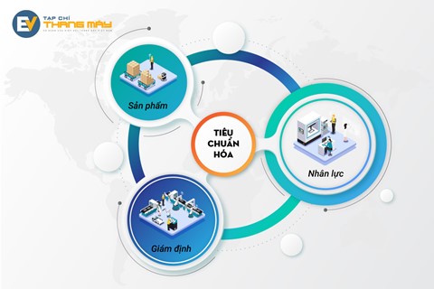 Ai đang sửa thang máy nhà bạn?