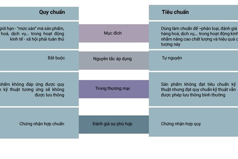 Tìm hiểu về Hợp quy thang máy